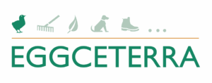 logo-1734358116 (1)